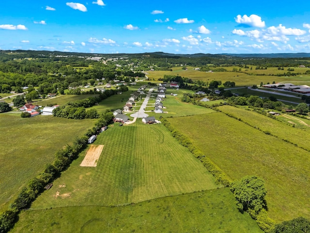 6625 Lainey Jane Ct, Whitesburg, TN 37891 - aerial view of sparsely populated area