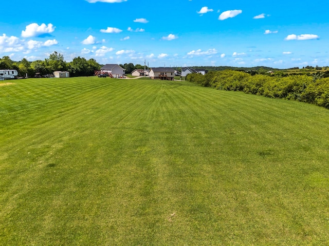 6625 Lainey Jane Ct, Whitesburg, TN 37891 - view of green lawn