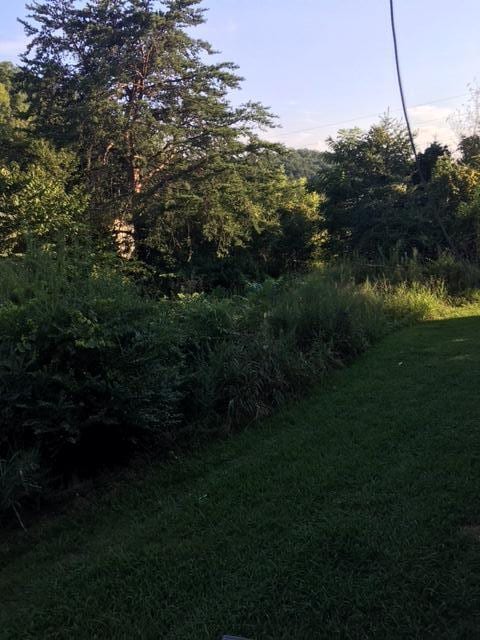 155 S Fork Branch Rd, Rogersville, TN 37857 - photo 22