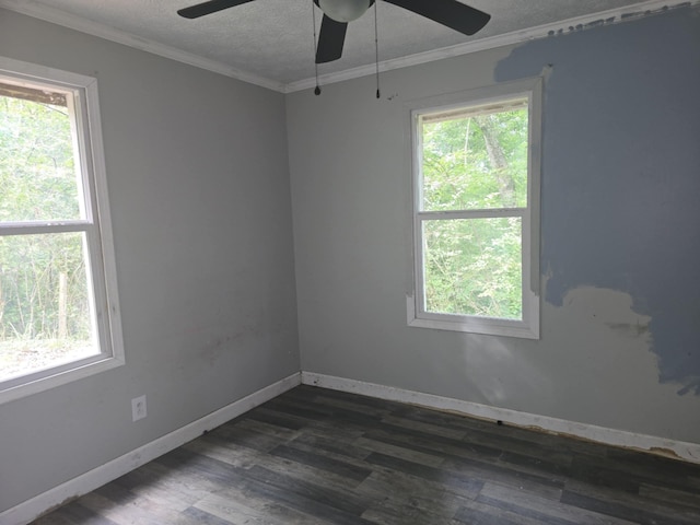 260 Collins St, Sneedville, TN 37869 - photo 15