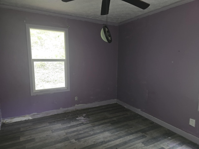 260 Collins St, Sneedville, TN 37869 - photo 13