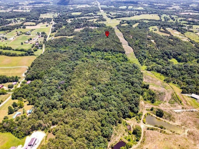 1 Mohawk Ridge Rd, Bulls Gap, TN 37711 - photo 23