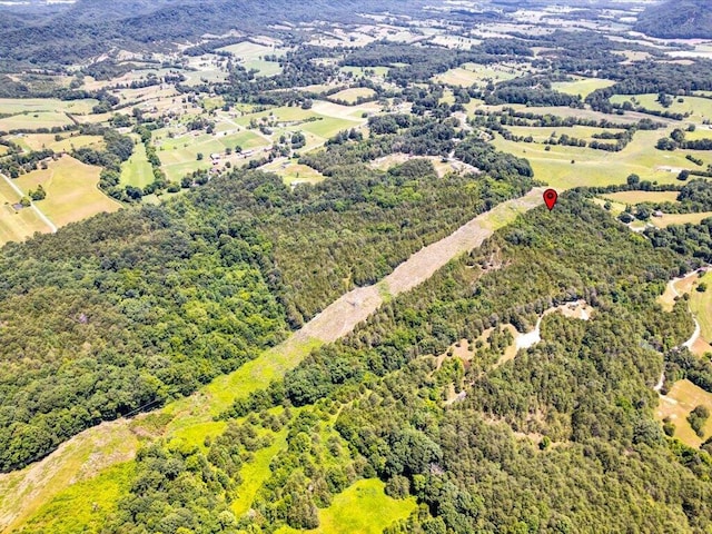1 Mohawk Ridge Rd, Bulls Gap, TN 37711 - photo 14