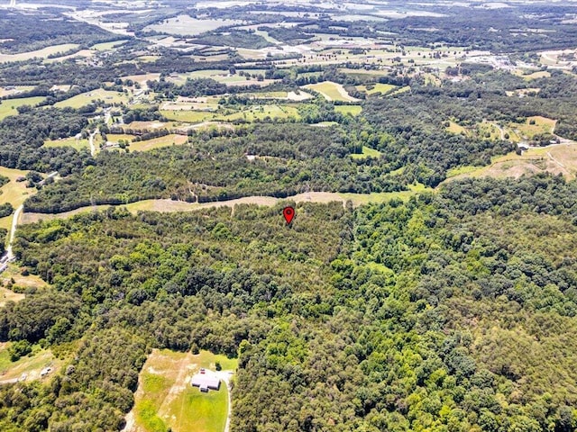 1 Mohawk Ridge Rd, Bulls Gap, TN 37711 - photo 12