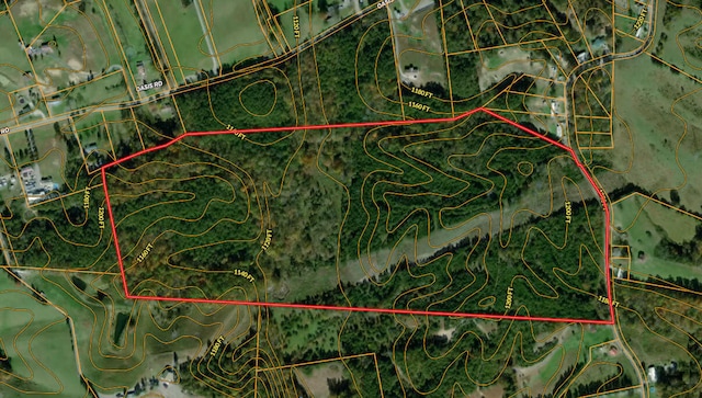 1 Mohawk Ridge Rd, Bulls Gap, TN 37711 - photo 27