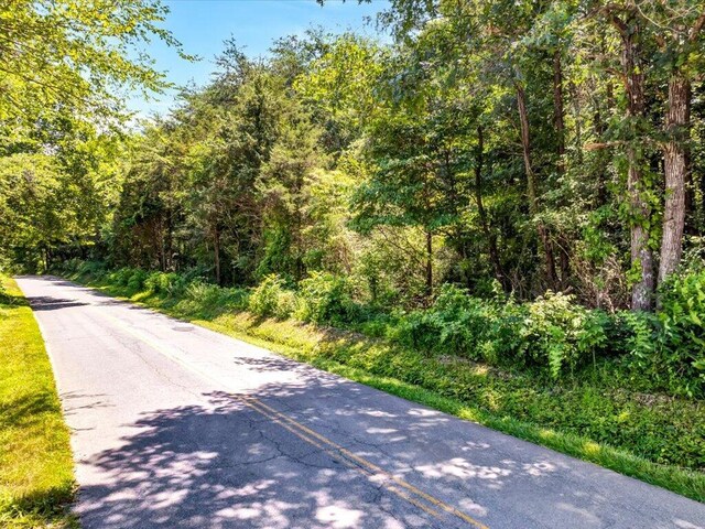 1 Mohawk Ridge Rd, Bulls Gap, TN 37711 - photo 4