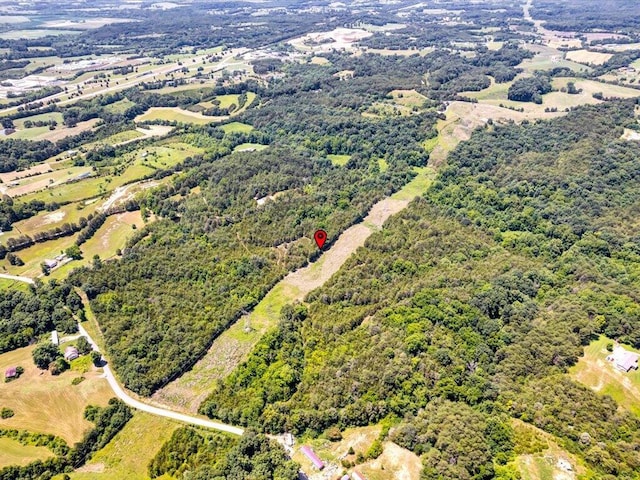 1 Mohawk Ridge Rd, Bulls Gap, TN 37711 - photo 11