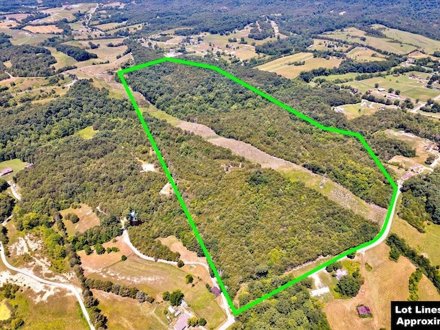 1 Mohawk Ridge Rd, Bulls Gap, TN 37711 - photo 1