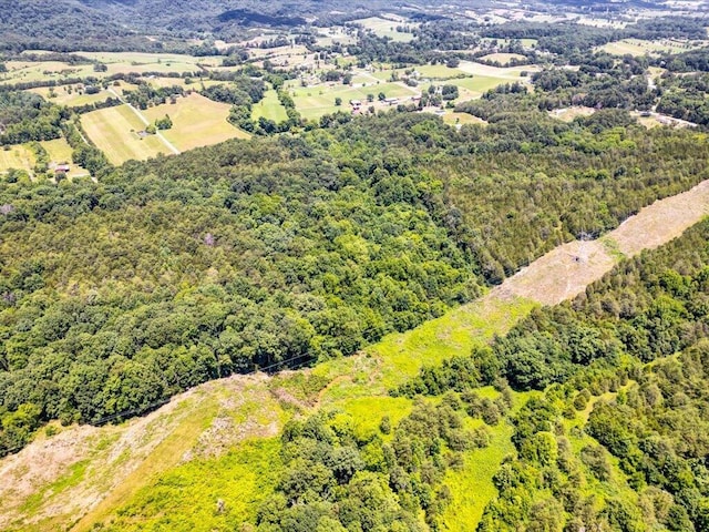 1 Mohawk Ridge Rd, Bulls Gap, TN 37711 - photo 10