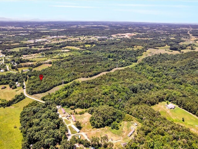 1 Mohawk Ridge Rd, Bulls Gap, TN 37711 - photo 19
