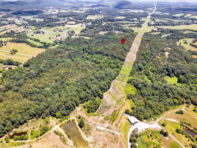 1 Mohawk Ridge Rd, Bulls Gap, TN 37711 - photo 24