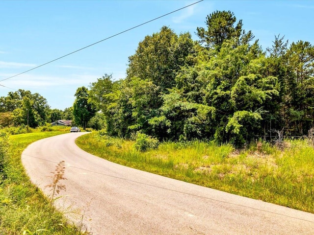 1 Mohawk Ridge Rd, Bulls Gap, TN 37711 - photo 3