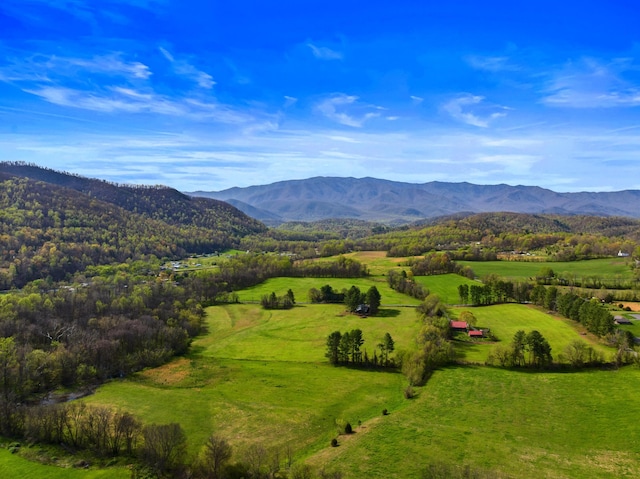 3863 Holders Grove Rd, Cosby, TN 37722 - photo 30