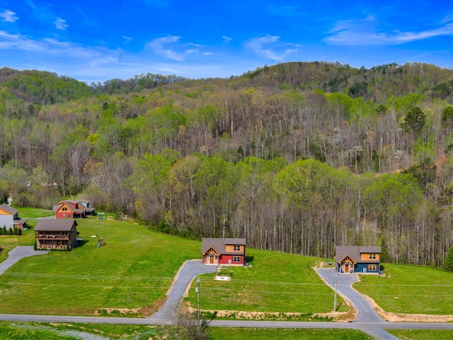 3863 Holders Grove Rd, Cosby, TN 37722 - photo 22
