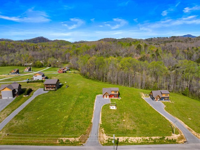 3863 Holders Grove Rd, Cosby, TN 37722 - photo 26