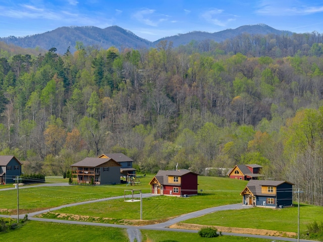 3863 Holders Grove Rd, Cosby, TN 37722 - photo 27