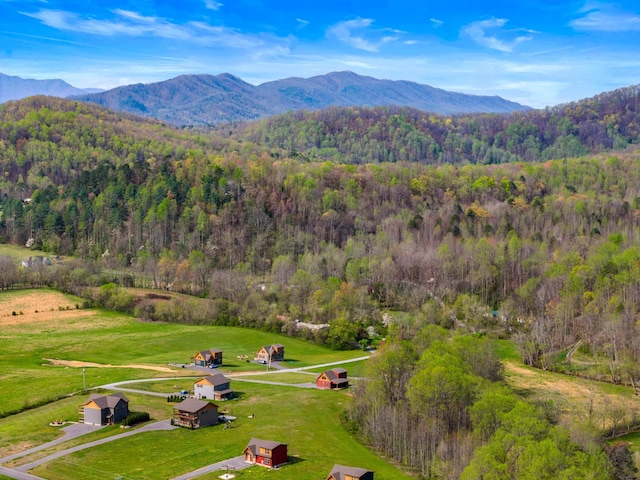 3863 Holders Grove Rd, Cosby, TN 37722 - photo 23