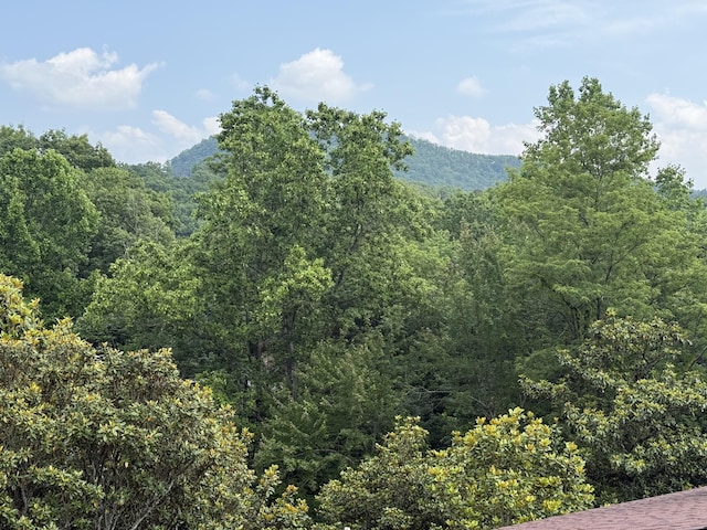 1081 Cove Rd Unit 734, Sevierville, TN 37876 - photo 25