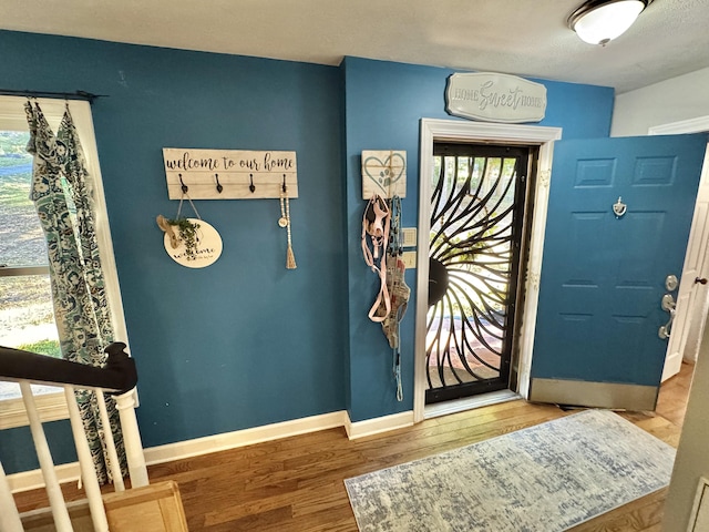 foyer featuring plenty of natural light and hardwood / wood-style floors