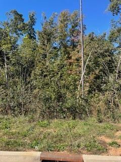 Listing photo 2 for LOT29 Bridgewater Pt, Morristown TN 37814