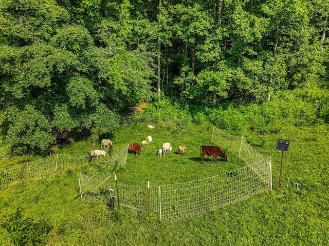 1446 War Valley Rd, Rogersville, TN 37857 - photo 45
