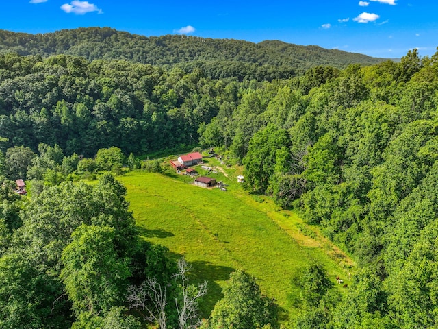 1446 War Valley Rd, Rogersville, TN 37857 - photo 44