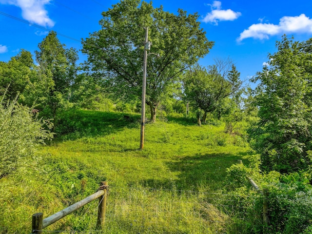 1446 War Valley Rd, Rogersville, TN 37857 - photo 55