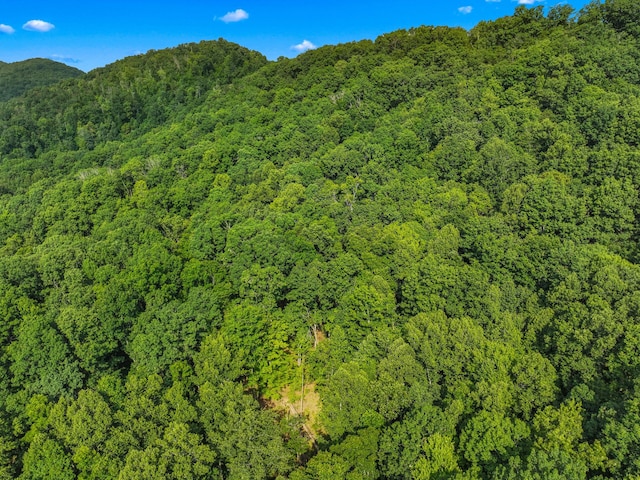 1446 War Valley Rd, Rogersville, TN 37857 - photo 47