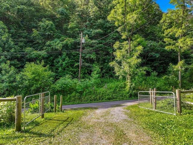 1446 War Valley Rd, Rogersville, TN 37857 - photo 49