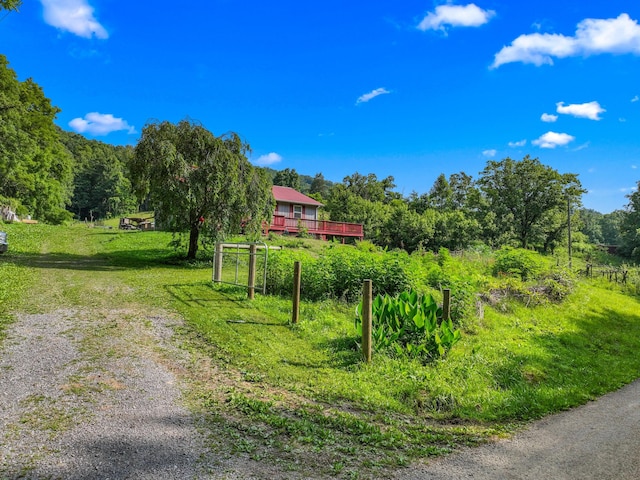 1446 War Valley Rd, Rogersville, TN 37857 - photo 50