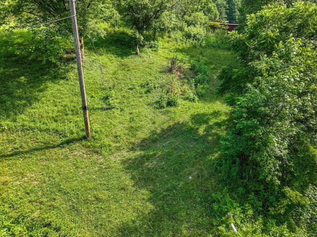 1446 War Valley Rd, Rogersville, TN 37857 - photo 53