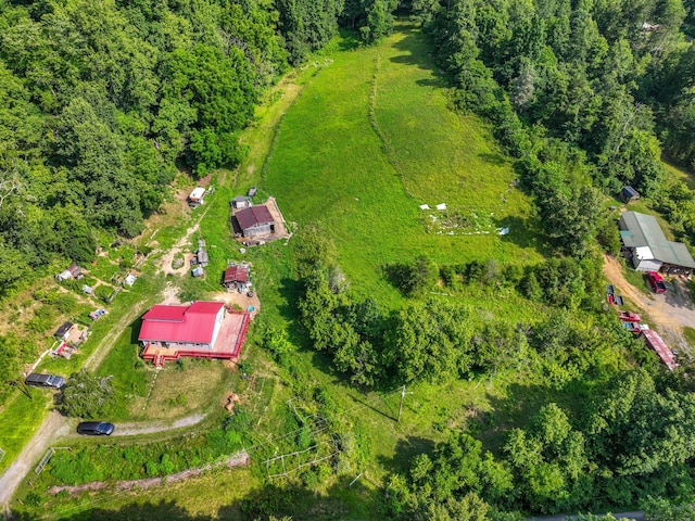 1446 War Valley Rd, Rogersville, TN 37857 - photo 54