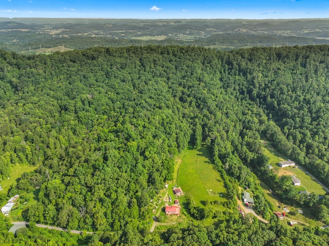 1446 War Valley Rd, Rogersville, TN 37857 - photo 41