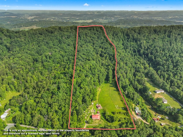 1446 War Valley Rd, Rogersville, TN 37857 - photo 4