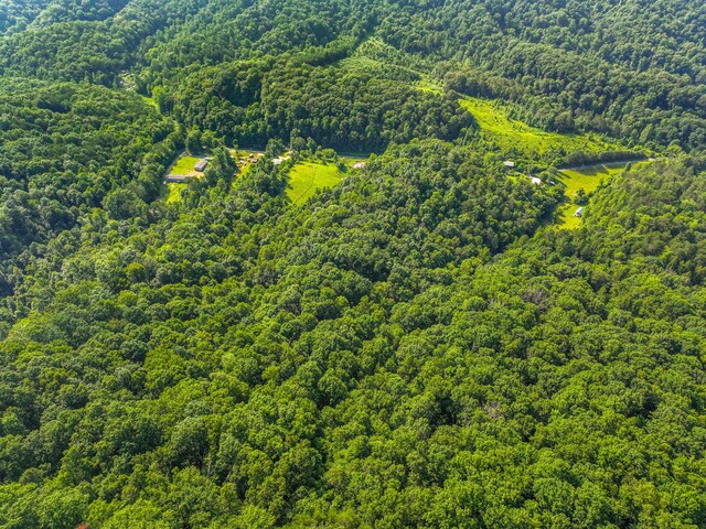 1446 War Valley Rd, Rogersville, TN 37857 - photo 48