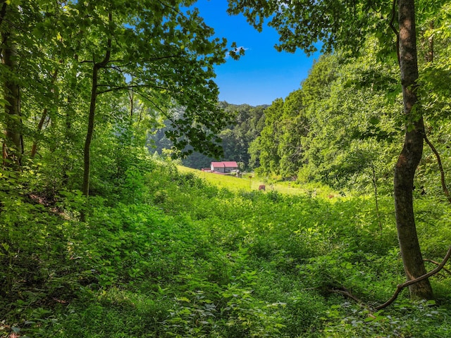 1446 War Valley Rd, Rogersville, TN 37857 - photo 46