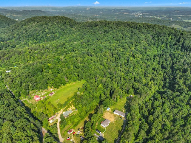 1446 War Valley Rd, Rogersville, TN 37857 - photo 42