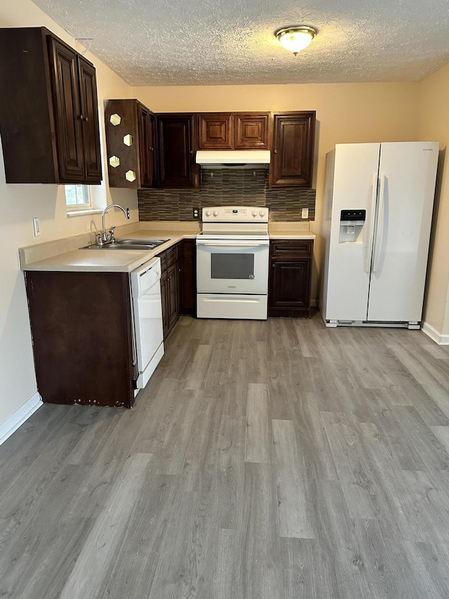 kitchen with white appliances, sink, a textured ceiling, light hardwood / wood-style floors, and dark brown cabinetry