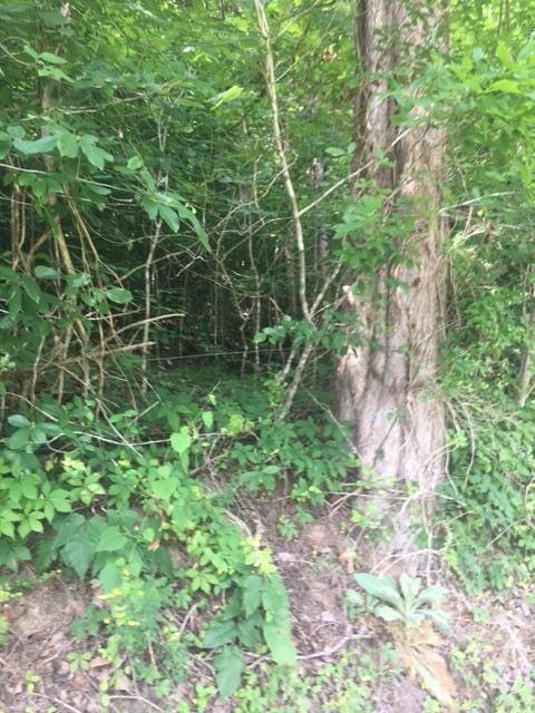 TBD Hatfield Rd, Tazewell, TN 37879