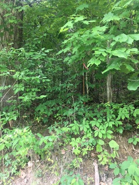 TBD Hatfield Rd, Tazewell, TN 37879
