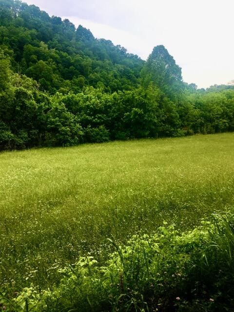 TBD Hatfield Rd, Tazewell, TN 37879