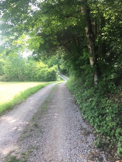 TBD Hatfield Rd, Tazewell, TN 37879