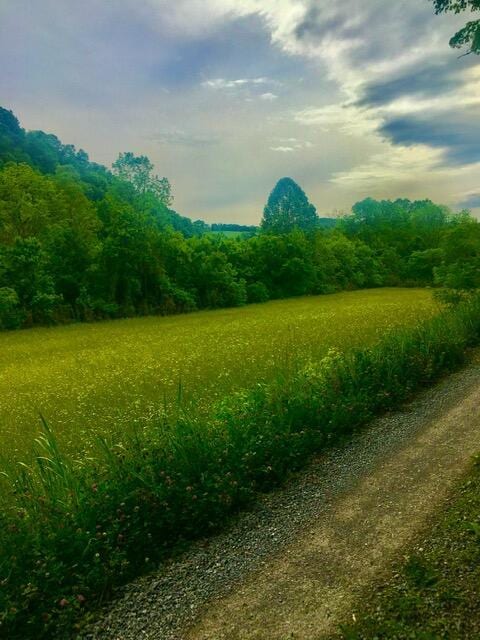 TBD Hatfield Rd, Tazewell, TN 37879