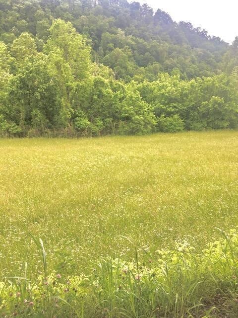 TBD Hatfield Rd, Tazewell, TN 37879