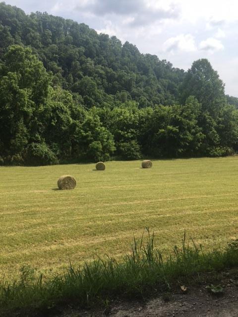 TBD Hatfield Rd, Tazewell, TN 37879