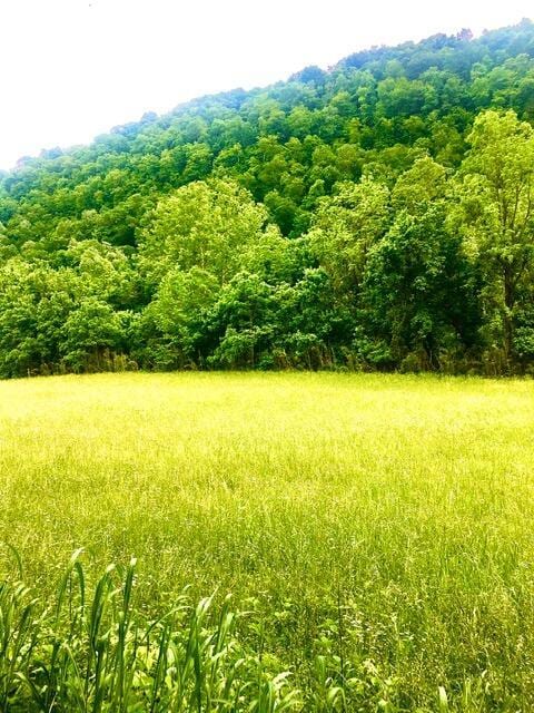 TBD Hatfield Rd, Tazewell, TN 37879
