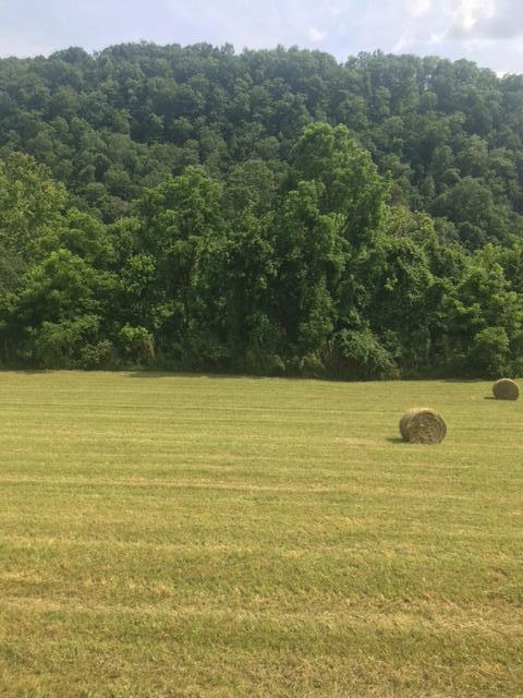 TBD Hatfield Rd, Tazewell, TN 37879