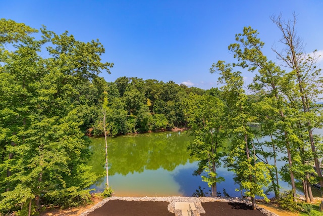 3099 Bridgewater Blvd, Morristown, TN 37814 - water view