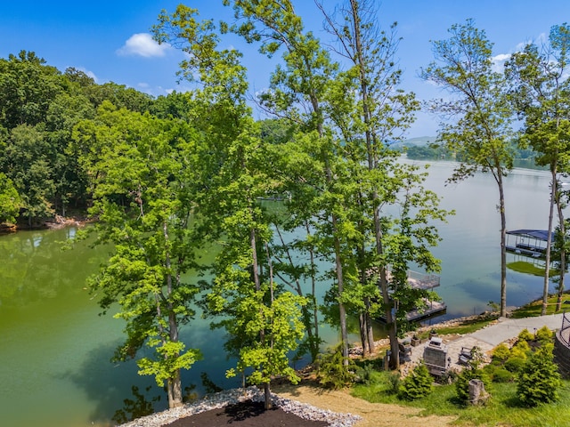 3099 Bridgewater Blvd, Morristown, TN 37814 - water view featuring a boat dock