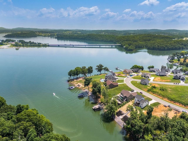 3099 Bridgewater Blvd, Morristown, TN 37814 - drone / aerial view of a large body of water and a heavily wooded area